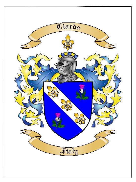 Family Coat of Arms / Family Crest in Large Print {Poster}