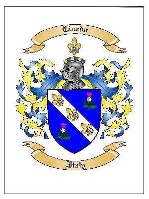 family coat of arms copy