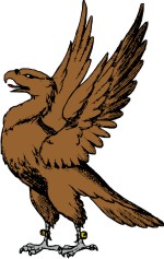 Simplistic Eagle-Falcon 11 Rising