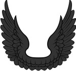 Simplistic Eagle-Falcon 4 Wings Conjoined