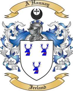 A'Hannay Family Crest from Ireland