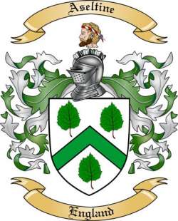 Aseltine Family Crest from England