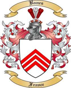 Banes Family Crest from France