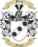 Biney Family Crest from France2