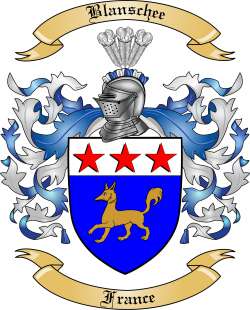 Blanschee Family Crest from France
