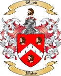 Blood Family Crest from Wales