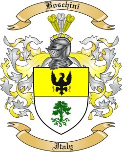 Boschini Family Crest from Italy2