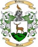Bowene Family Crest from Wales2