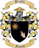 Braydie Family Crest from Ireland2