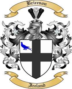 Briceson Family Crest from Ireland2