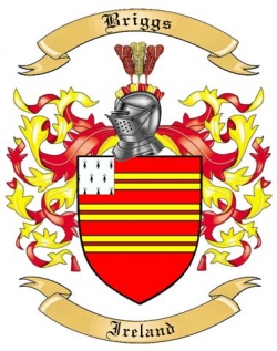 Briggs Family Crest from Ireland