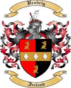 Brodrig Family Crest from Ireland