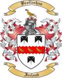 Brollachan Family Crest from Ireland