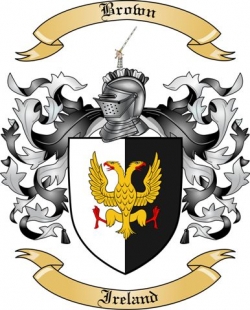 ireland family brown crest coat arms surname along history irish thetreemaker coats