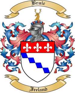 Bruic Family Crest from Ireland