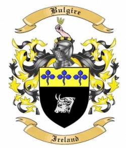 Bulgire Family Crest from Ireland