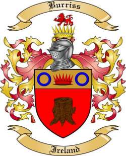 Burriss Family Crest from Ireland
