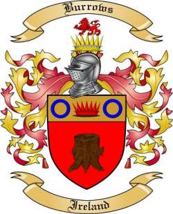 Burrows Family Crest from Ireland