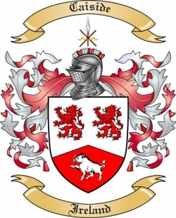 Caiside Family Crest from Ireland