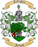 Calleghan Family Crest from Ireland