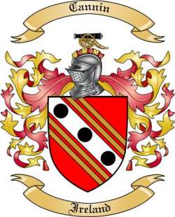 Cannin Family Crest from Ireland