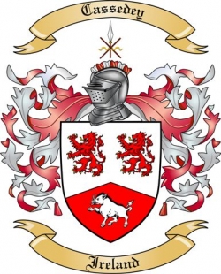 Cassedey Family Crest from Ireland