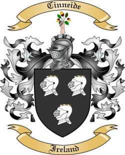 Cinneide Family Crest from Ireland