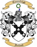 Connaleigh Family Crest from Ireland