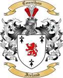 Counihan Family Crest from Ireland2