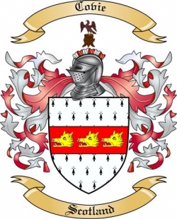 Covie Family Crest from Scotland