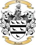 Coy Family Crest from Ireland