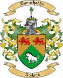 Donnchadha Family Crest from Ireland