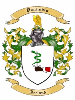 Donnovin Family Crest from Ireland