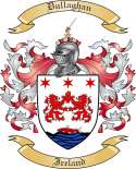 Dullaghan Family Crest from Ireland