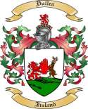 Dullea Family Crest from Ireland