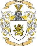 Dwayn Family Crest from Ireland