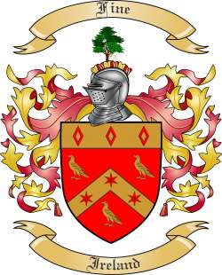 Fine Family Crest from Ireland