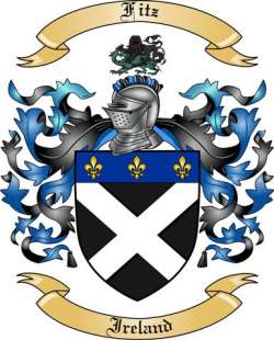 Fitz Family Crest from Ireland