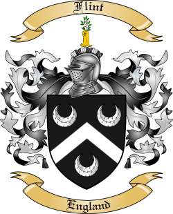 Flint Family Crest from England