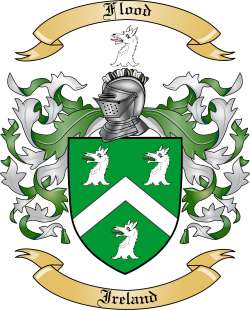 Flood Family Crest from Ireland