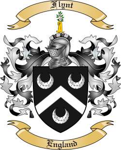 Flynt Family Crest from England
