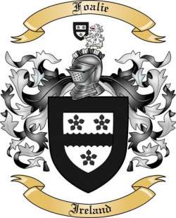 Foalie Family Crest from Ireland