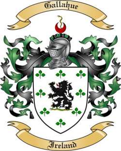 Gallahue Family Crest from Ireland