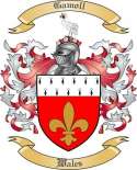 Gamoll Family Crest from Wales