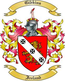 Gibkins Family Crest from Ireland