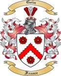Goin Family Crest from France2