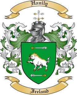 Hanily Family Crest from Ireland