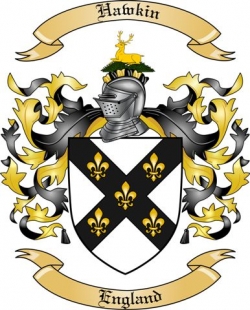 Hawkin Family Crest from England