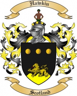 Hawkin Family Crest from Scotland