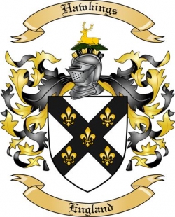 Hawkings Family Crest from England